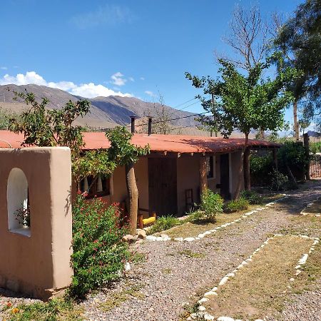Alta Montana Cabanas Otel Tilcara Dış mekan fotoğraf