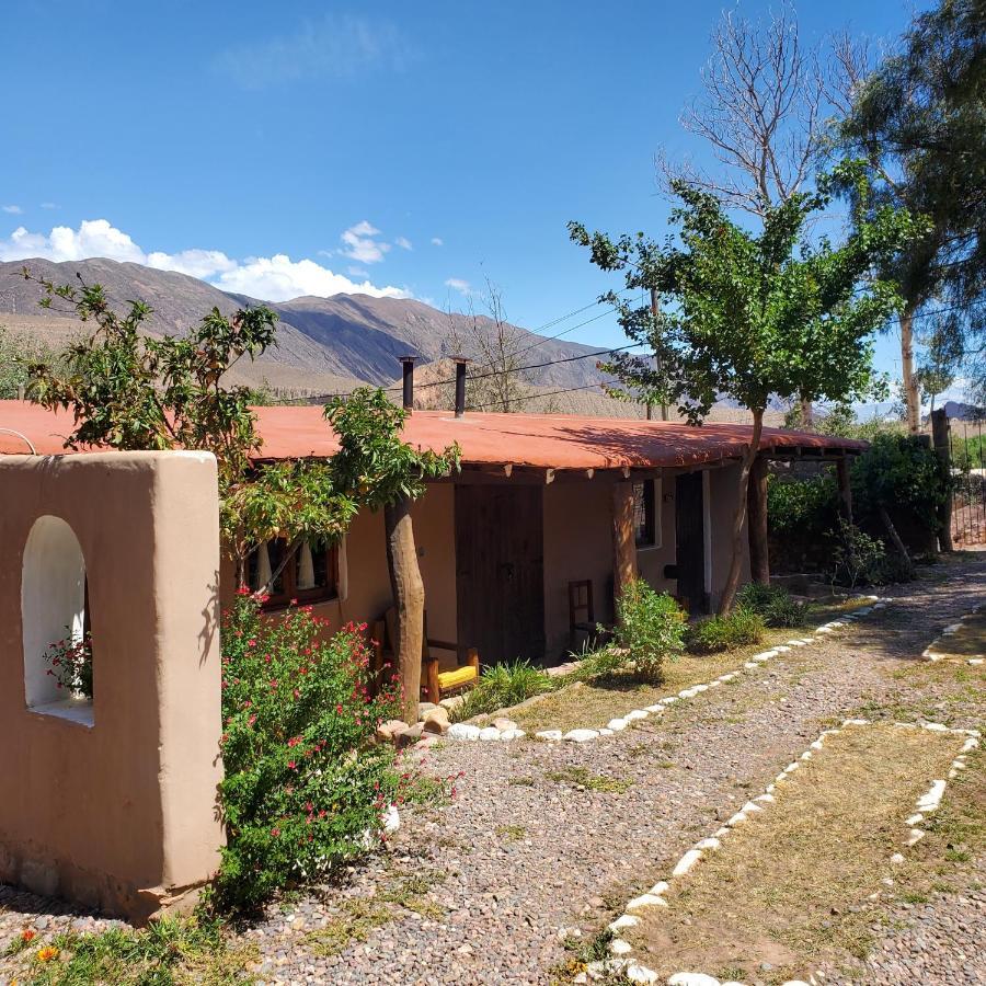 Alta Montana Cabanas Otel Tilcara Dış mekan fotoğraf