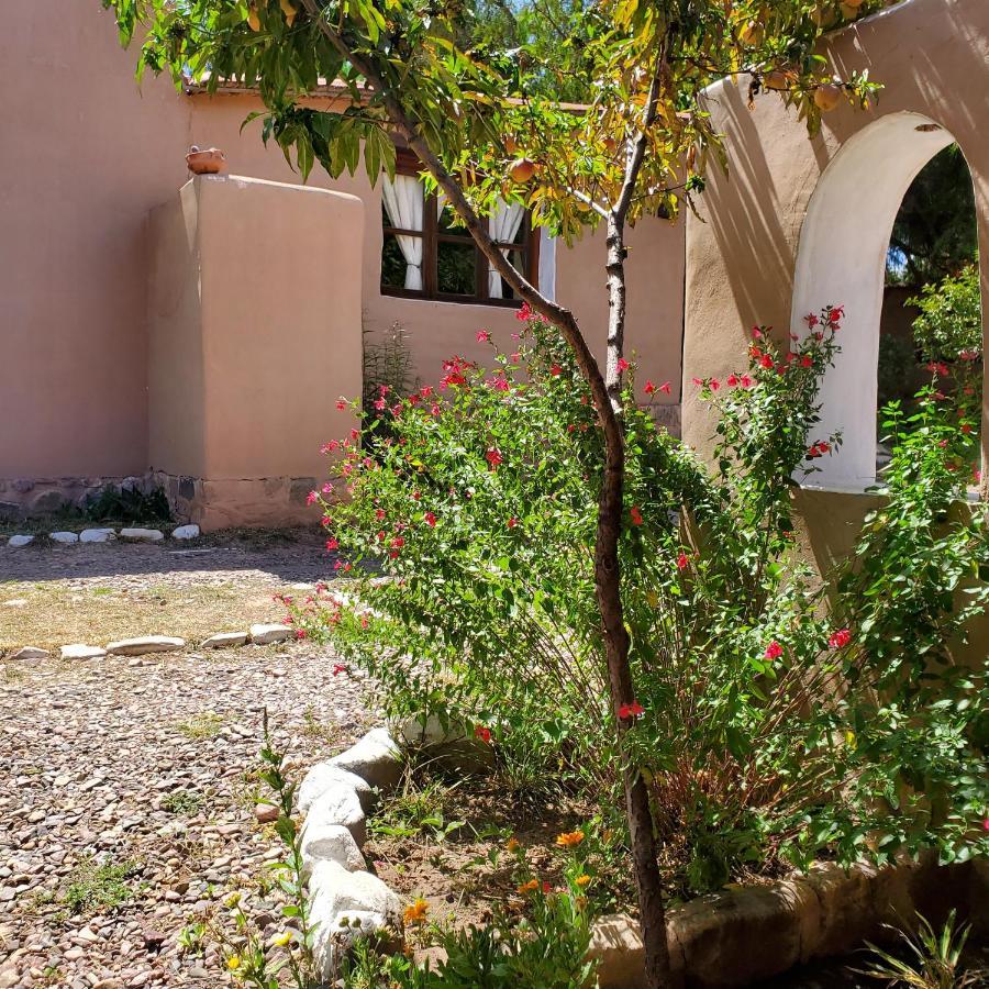 Alta Montana Cabanas Otel Tilcara Dış mekan fotoğraf