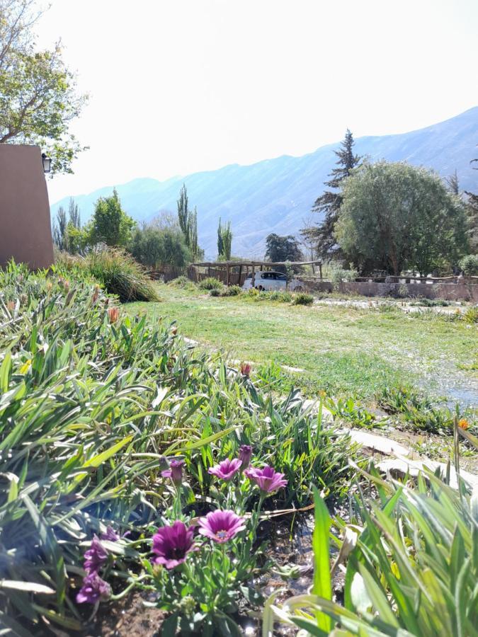 Alta Montana Cabanas Otel Tilcara Dış mekan fotoğraf